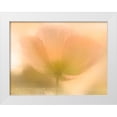 thumbnail image 1 of Allen, Kimberly 32x25 White Modern Wood Framed Museum Art Print Titled - Golden Poppy, 1 of 4
