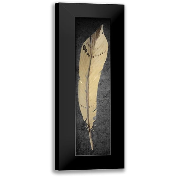 Allen, Kimberly 6x14 Black Modern Framed Museum Art Print Titled - Feather on Black 2