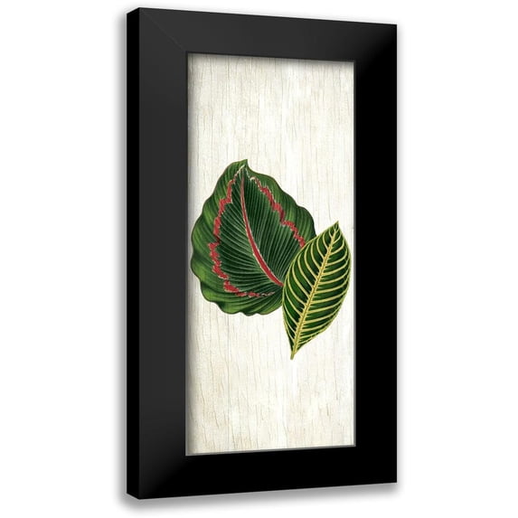 Allen, Kimberly 8x14 Black Modern Framed Museum Art Print Titled - Botanical Greens 3