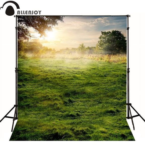 Allenjoy Professional photography background Fog cloud sun grass photography props Rolled to send iron on vinyl