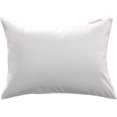 thumbnail image 1 of AllerEase Travel Pillow Zippered Pillow Protector, White, 1 of 4