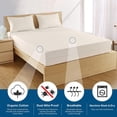 thumbnail image 1 of AllergyCare Organic Cotton Mattress Encasing, King 78" x 80" / 15", 1 of 5