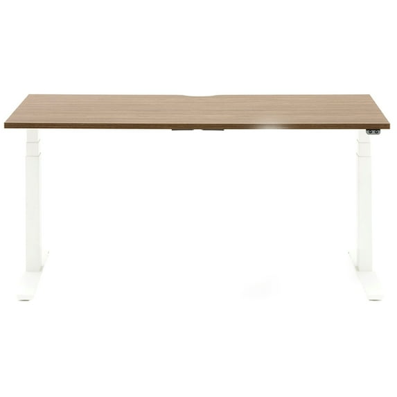 Allermuir Slide Electric Height-Adjustable Standing Desk, 29"H x 60"W x 30"D, Walnut/White