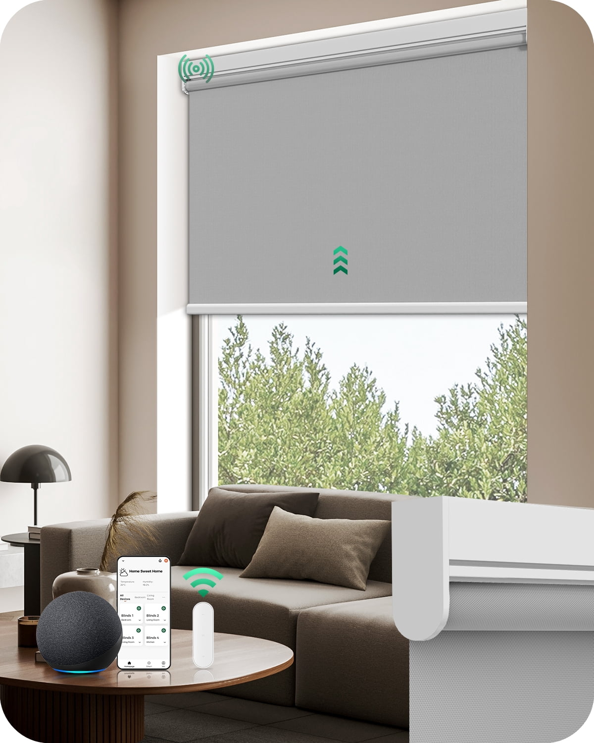 Allesin Motorized Roller Blinds with Remote Control for Windows, Blackout Automatic Smart Shades, Dry Battery Powered Electric Blind (Gray 31"W x 72"H)