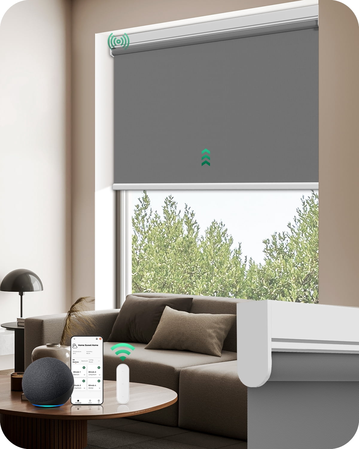 Allesin Motorized Roller Blinds with Remote Control for Windows, Blackout Automatic Smart Shades, Dry Battery Powered Electric Blind (Smoky Gray 23"W x 72"H)