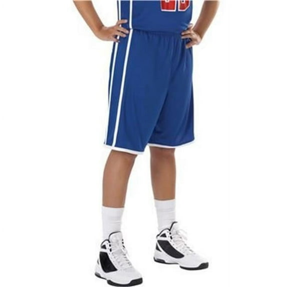 Alleson Athletic B34485677 Womens Basketball Shorts, Purple & White - 2XL