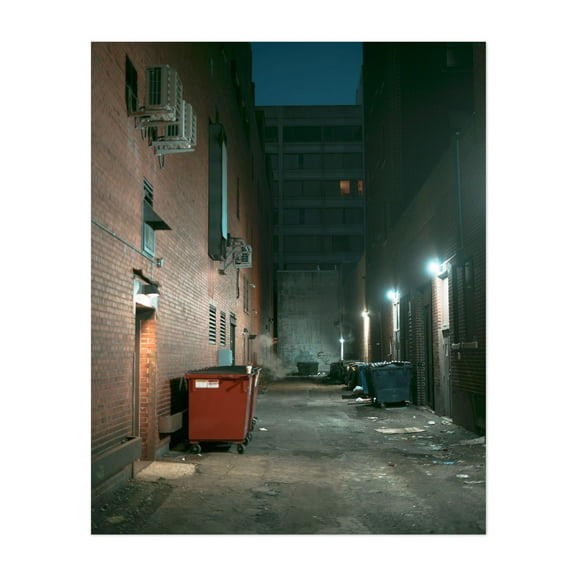 Alley, Downtown Erie - Erie Pennsylvania Photography Street Photography Nightlife Architecture City Graffiti Unframed Wall Art Print 20 x 24 inches