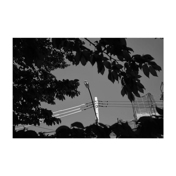 Alleyway Wires, 03 - Queens New York Photography Black and White Street Photography Architecture Minimalist City Surrealism Unframed Wall Art Print 4 x 6 inches