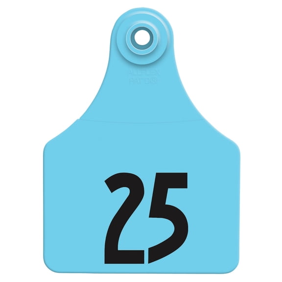 Global Large, Numbered (25) Color: Green Number: 51-75