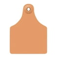 thumbnail image 1 of Allflex Global Maxi Blank Cattle Ear Tags 25 Count Orange, 1 of 4
