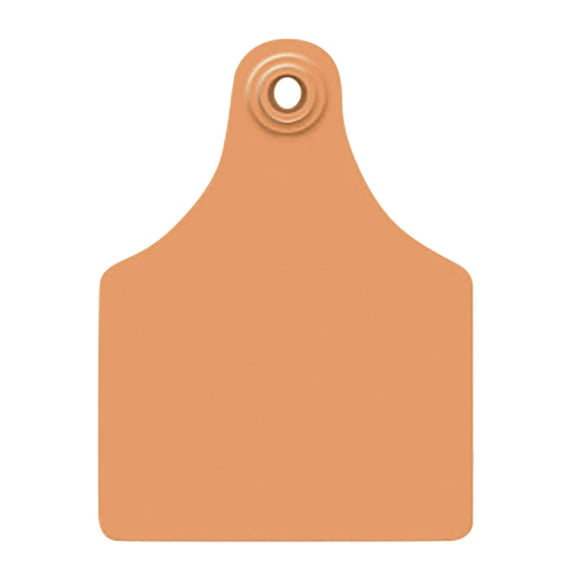 Allflex Global Maxi Blank Cattle Ear Tags 25 Count Orange