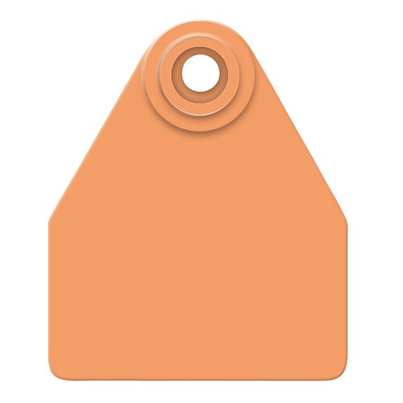 Allflex Global Medium Cattle Blank Ear Tags 25 Count Orange