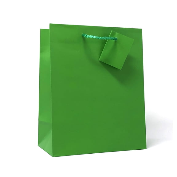 Allgala 12PK Value Premium Solid Color Paper Gift Bags (09"MED-Green-GP50071)