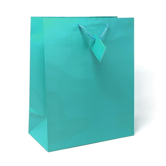 Allgala 12PK Value Premium Solid Color Paper Gift Bags (09"MED-Turquoise-GP50131)