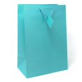 thumbnail image 1 of Allgala 12PK Value Premium Solid Color Paper Gift Bags (17"XL-Turquoise-GP50133), 1 of 2