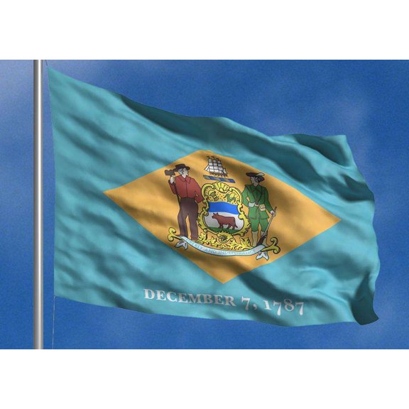 Allied Flag 5 x 8 FT Nylon Delaware State Flag - Made In USA