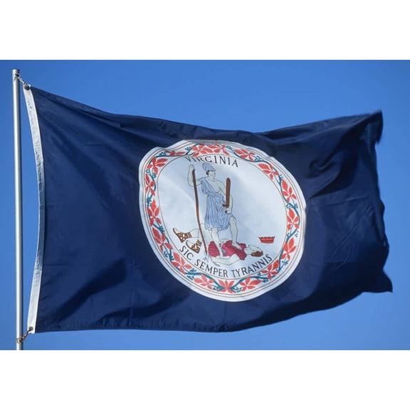 Allied Flag 5 x 8 FT Nylon Virginia State Flag - Made In USA