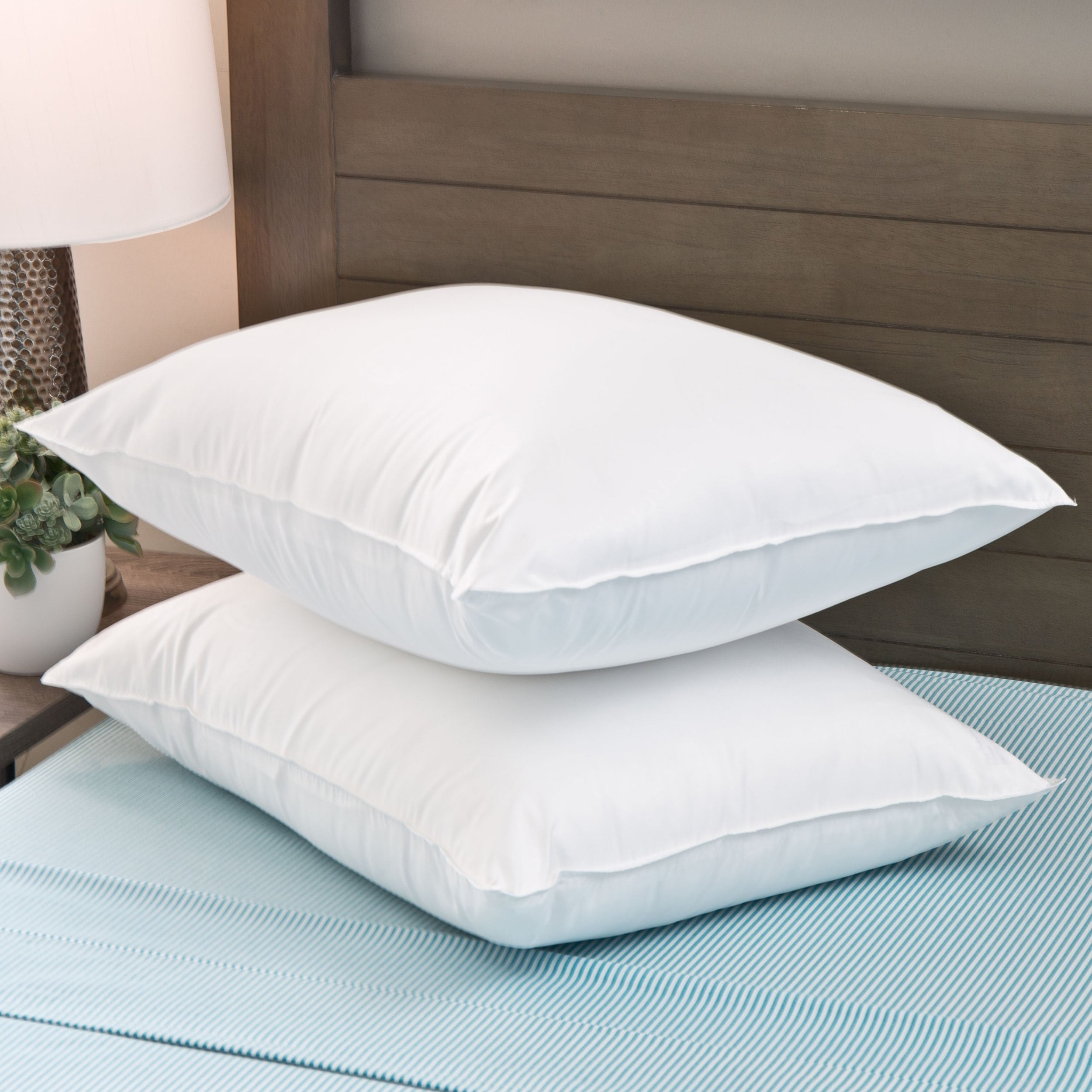 Cozy Classics  MicronOne Pillow Protectors (Set of 2) Standard