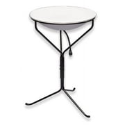 Allied Precision Heated Bird Bath with Metal Stand