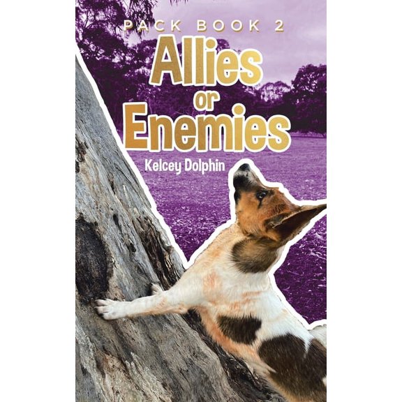 Allies or Enemies, (Paperback)