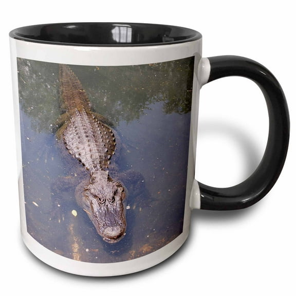 3drose, Alligator, 11oz Two-tone Black Mug