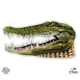 thumbnail image 1 of Alligator - 3" Vinyl Sticker - For Car Laptop I-Pad Phone Helmet Hard Hat - Waterproof Decal, 1 of 1
