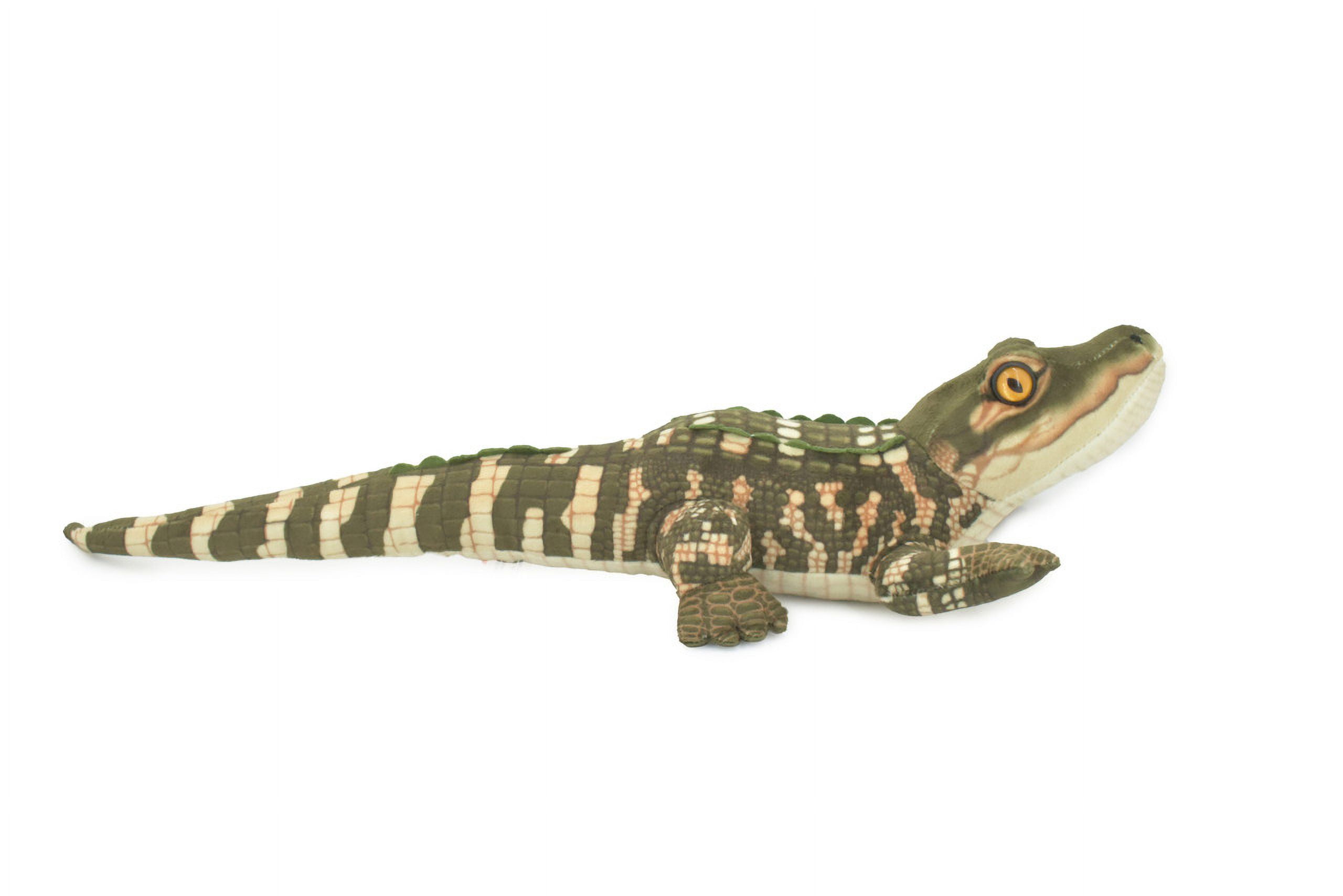 Alligator, Crocodile, Baby, Stuffed Reptile, Educational
