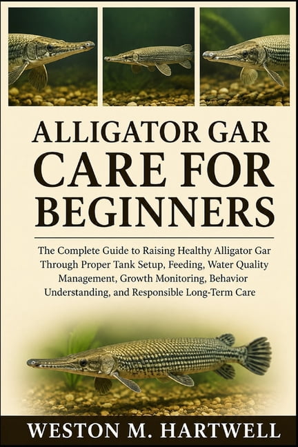 Alligator Gar Care for Beginners: The Complete Guide to Raising Healthy Alligator Gar Through Proper Tank Setup, Feeding, (Paperback)