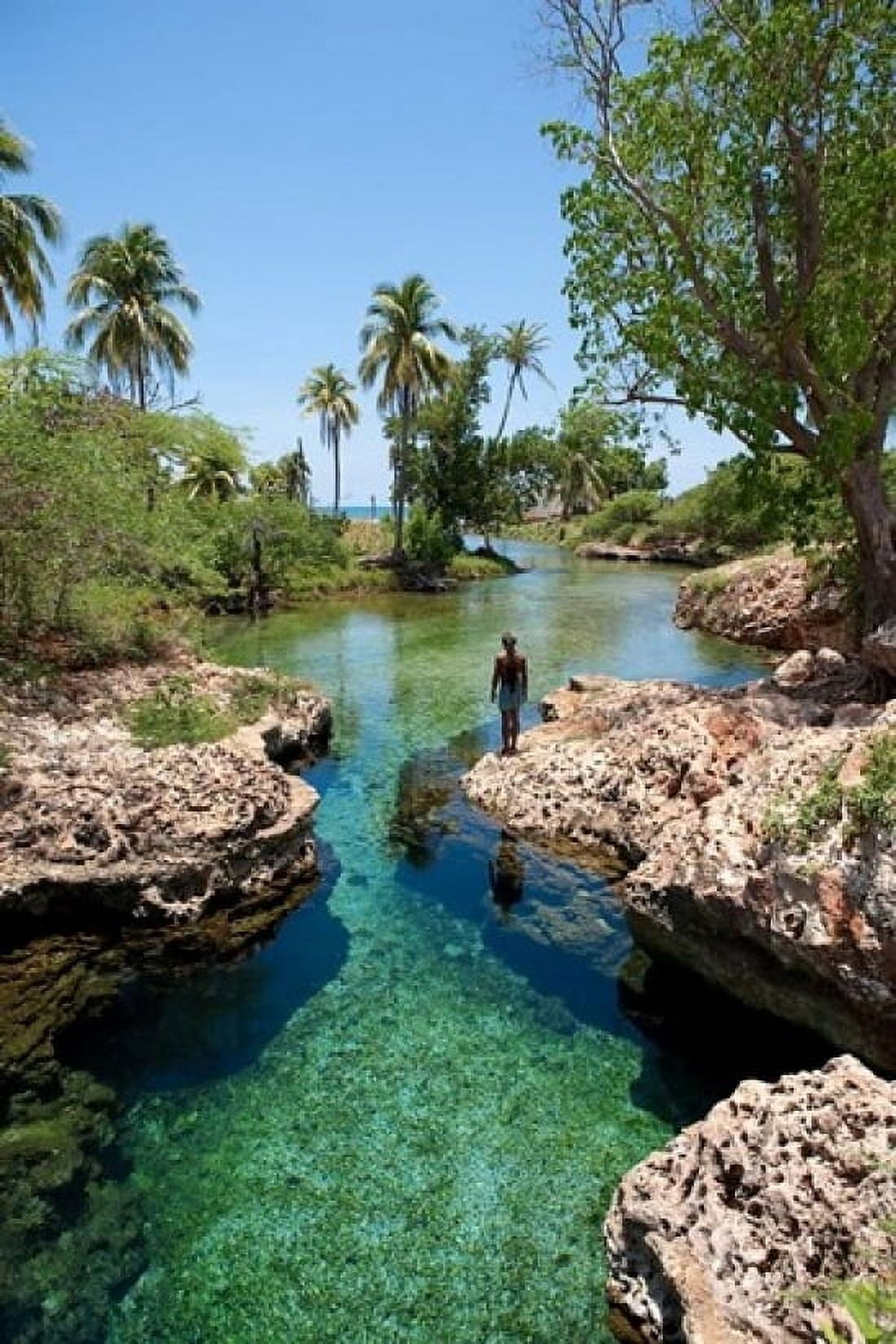 Alligator Hole Black River Town Jamaica Caribbean Canvas Art - Greg Johnston DanitaDelimont (24 x 36)