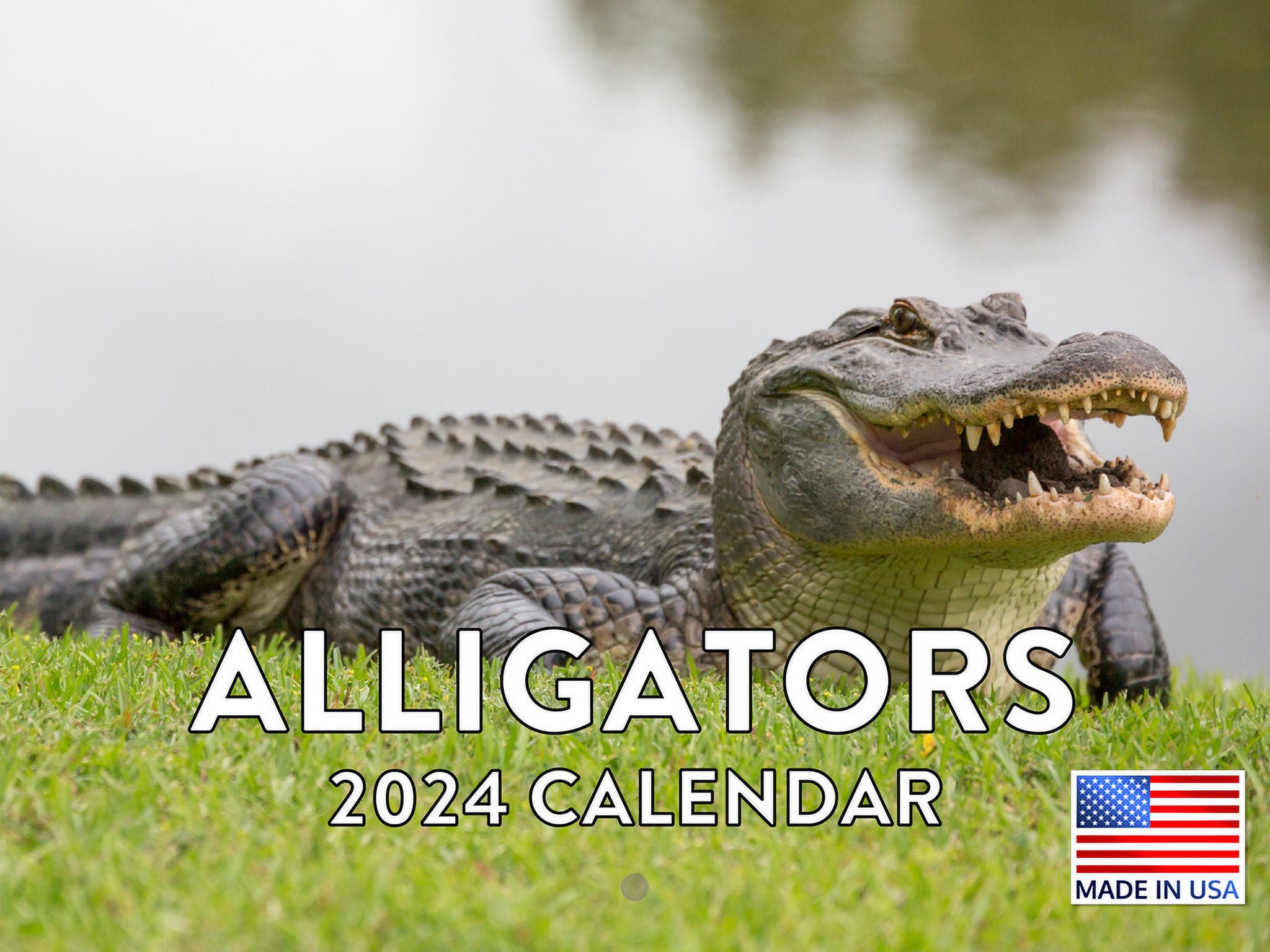 Alligator Reptile Animal 2024 Wall Calendar Belarus Ubuy