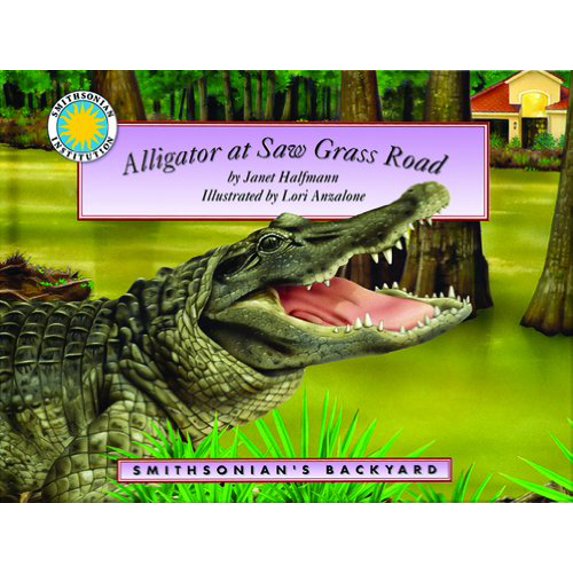Pre-Owned Alligator at Saw Grass Road (Hardcover) 1592496326 9781592496327