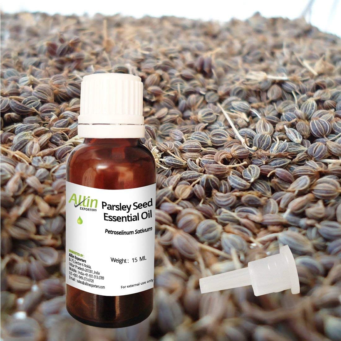 Allin Exporters Parsley Seed Essential Oil Pure, Natural & Undiluted