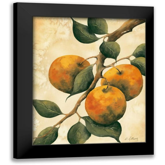 Allison, Doris 12x14 Black Modern Framed Museum Art Print Titled - Italian Harvest - Oranges
