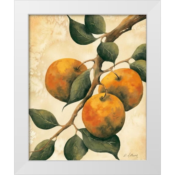 Allison, Doris 20x24 White Modern Wood Framed Museum Art Print Titled - Italian Harvest - Oranges