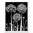 thumbnail image 1 of Allium Flowers Black and White Contour Folk Art Art Print Framed Poster Wall Decor 12x16 inch, 1 of 5