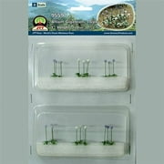Allium Gigateum, O-Scale 18pk Multi-Colored