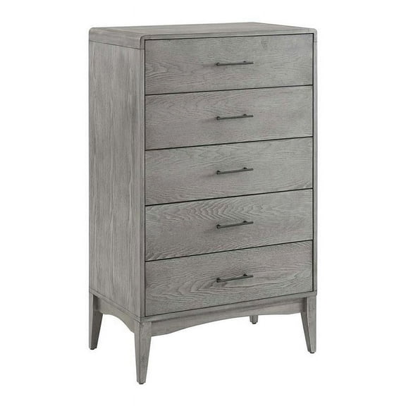 Allora 25" Wood Chest with 5 Spacious Storage Drawers in Gray