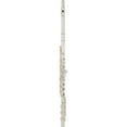 thumbnail image 1 of Allora Paris Series Professional Solid Silver Flute Offset G / C# Trill B Foot / Open Hole, 1 of 1