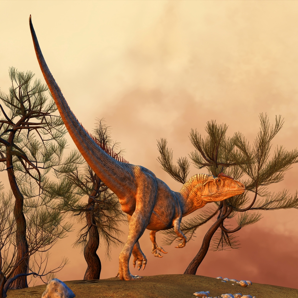 Allosaurus a large theropod dinosaur from the late Jurassic period Canvas Art - Philip BrownlowStocktrek Images (29 x 29)