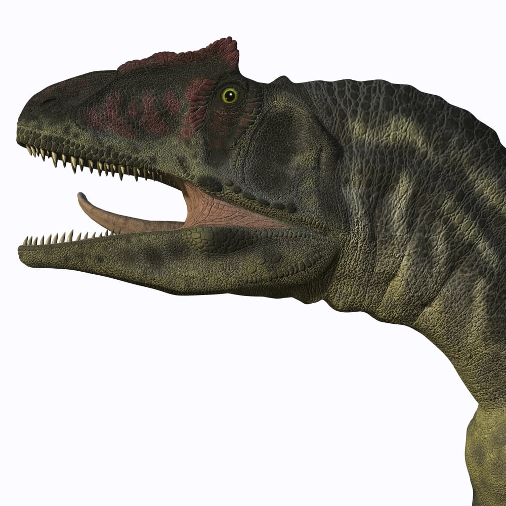 Allosaurus dinosaur Canvas Art - Corey FordStocktrek Images (29 x 29)