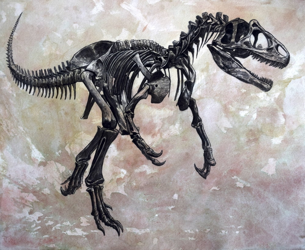 Allosaurus dinosaur skeleton Canvas Art - Harm PlatStocktrek Images (16 x 13)