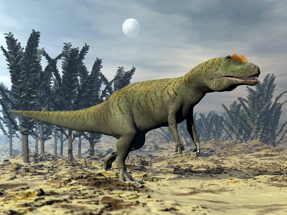 Allosaurus dinosaur walking amongst pachypteris trees Canvas Art - Elena DuvernayStocktrek Images (17 x 13)