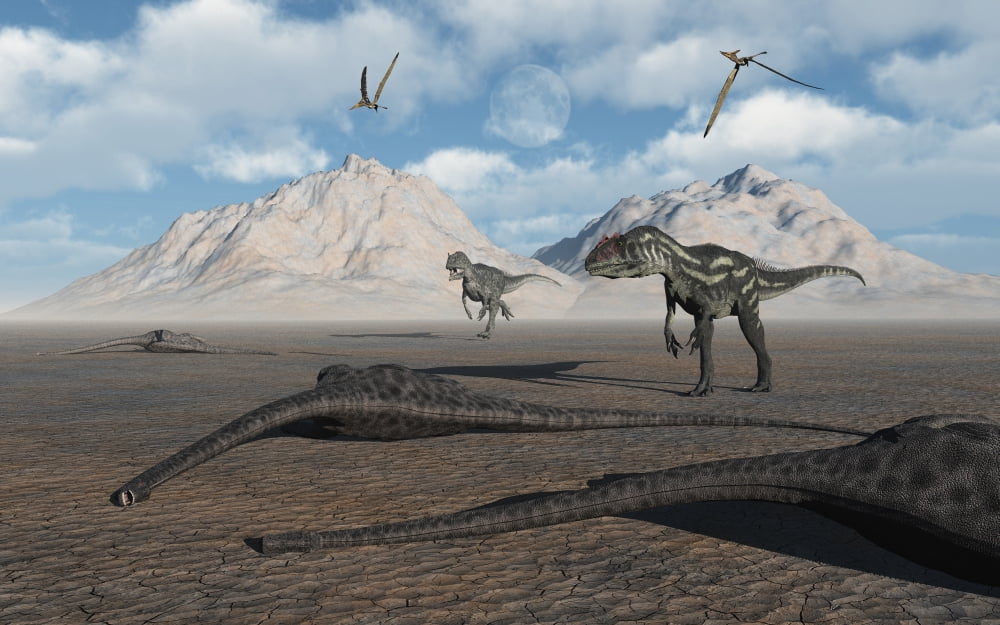 Allosaurus dinosaurs approach a group of dead sauropods Canvas Art - Mark StevensonStocktrek Images (18 x 12)