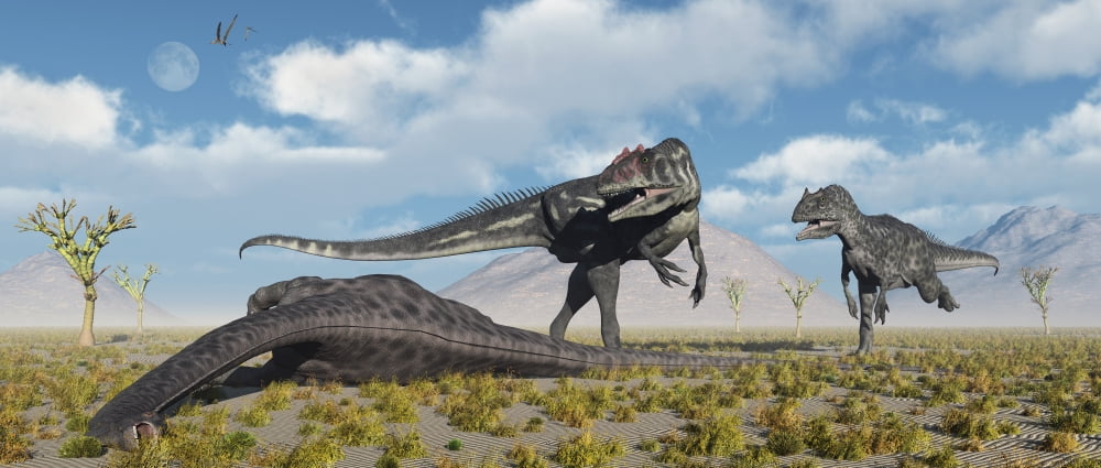 Allosaurus dinosaurs approaching the carcass of a dead Diplodocus Canvas Art - Mark StevensonStocktrek Images (22 x 10)