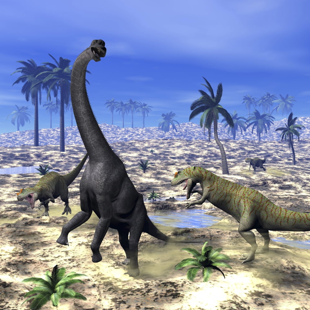 Allosaurus dinosaurs attacking a Brachiosaurus in the desert Canvas Art - Elena DuvernayStocktrek Images (29 x 29)