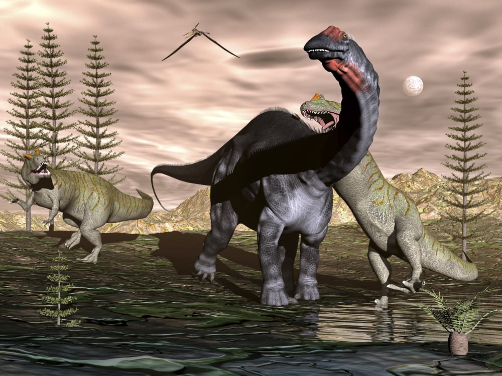 Allosaurus dinosaurs attacking an Apatosaurus Canvas Art - Elena DuvernayStocktrek Images (17 x 13)