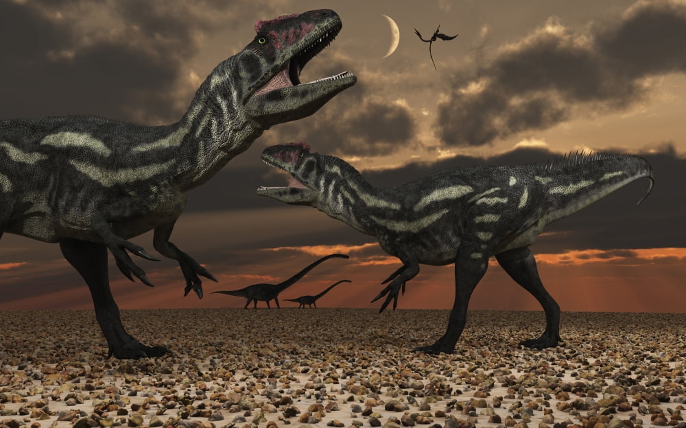 Allosaurus dinosaurs stalk their next meal Canvas Art - Mark StevensonStocktrek Images (36 x 23)