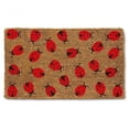 thumbnail image 1 of Abbott Allover Ladybugs Doormat, 18x30 in – Heavy-Duty Coir & PVC Indoor/Outdoor Entry Mat, All Weather-Resistant Welcome for Front or Back Door, 1 of 1