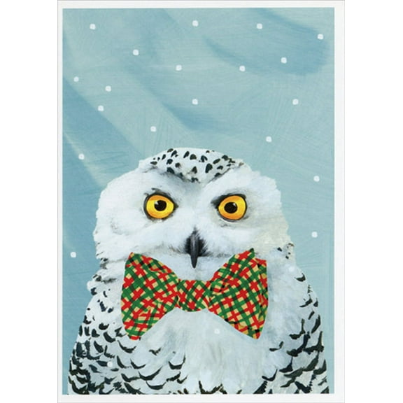 Allport Editions Snowy Owl Wearing Red and Green Bow Tie Box of 12 Christmas Cards