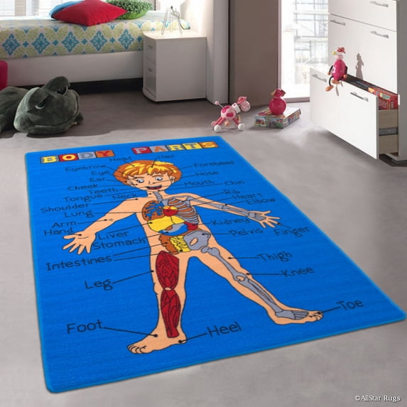 Allstar Kids / Baby Room Area Rug. Human Anatomy: Learn All About the Human Body. Blue Color (3' 3" x 4' 10")